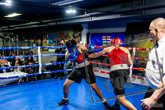 Cougar Boxing Basement Brawl -0678