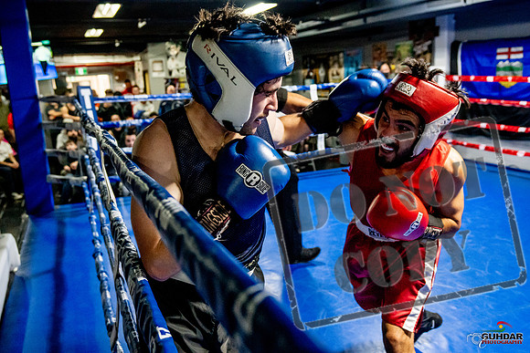 Cougar Boxing Basement Brawl -0397