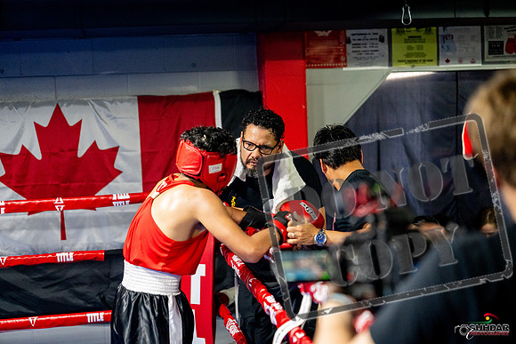 Cougar boxing June 7th 2025-0633