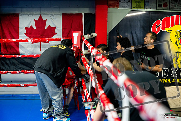 Cougar boxing June 7th 2025-0025