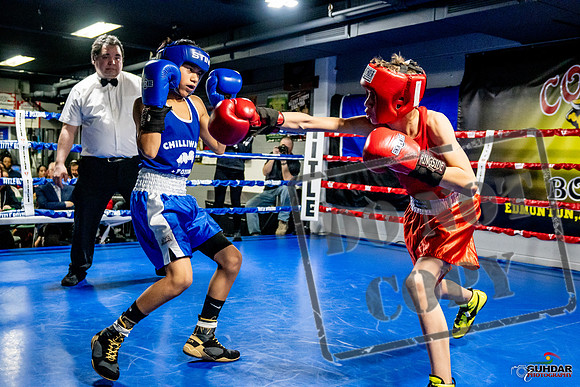 Cougar Boxing Basement Brawl -0223