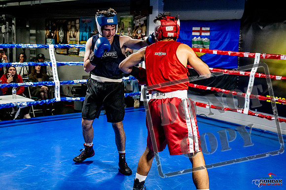 Cougar Boxing Basement Brawl -0426