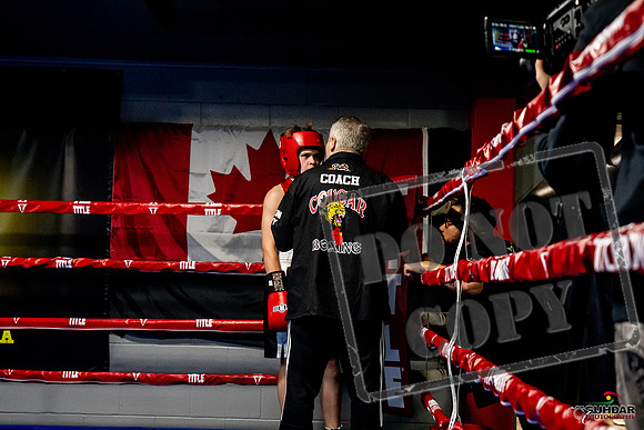 Cougar Boxing Basement Brawl -0155