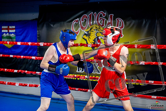 Cougar boxing June 7th 2025-0894