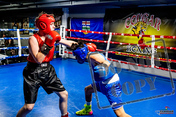 Cougar Boxing Basement Brawl -0538