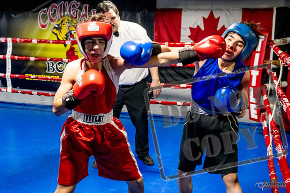 Cougar Boxing Basement Brawl -0502