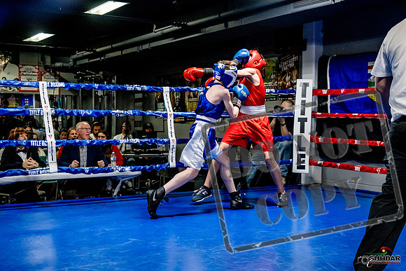 Cougar Boxing Basement Brawl -0203