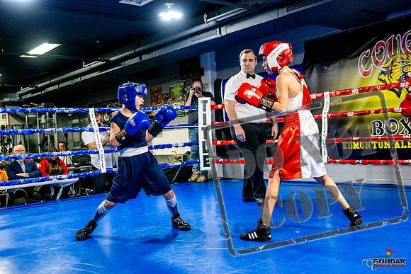 Cougar Boxing Basement Brawl -0058