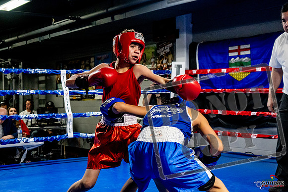 Cougar Boxing Basement Brawl -0238