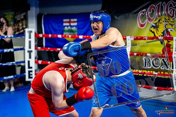 Cougar boxing June 7th 2025-0727