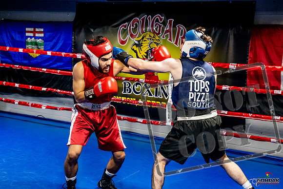 Cougar Boxing Basement Brawl -0375