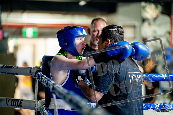 Cougar boxing June 7th 2025-0887