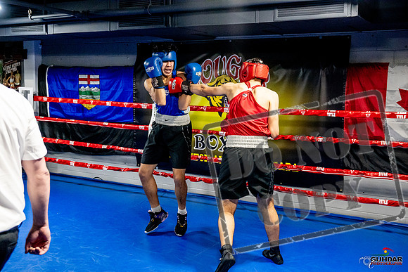 Cougar Boxing Basement Brawl -0674