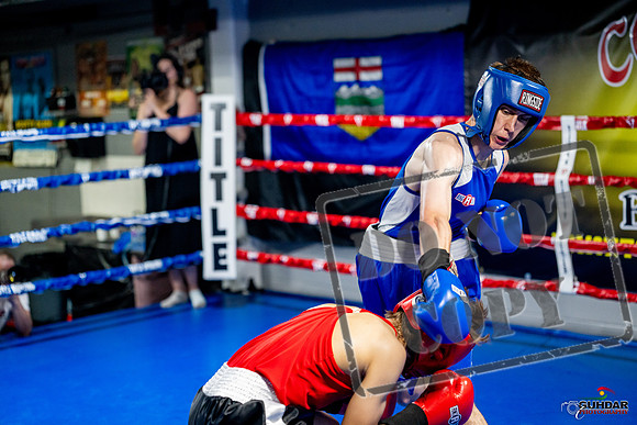 Cougar boxing June 7th 2025-0805
