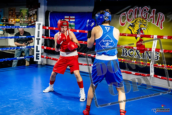 Cougar Boxing Basement Brawl -0436