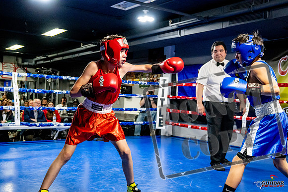 Cougar Boxing Basement Brawl -0258
