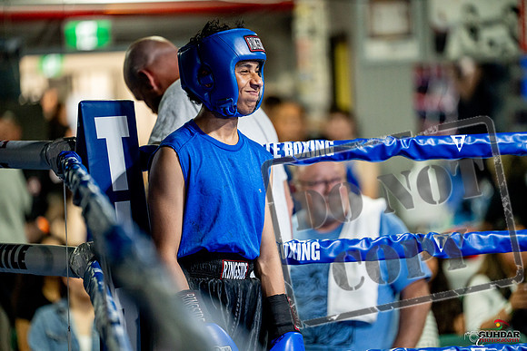 Cougar boxing June 7th 2025-0158
