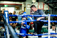 Cougar boxing June 7th 2025-0006