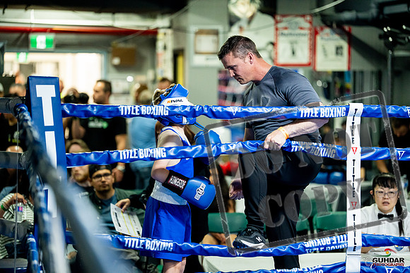 Cougar boxing June 7th 2025-0006