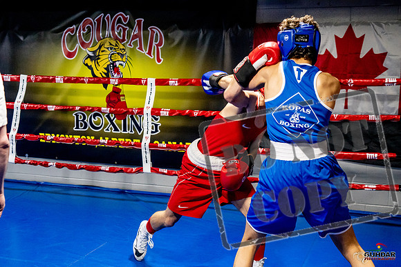Cougar Boxing Basement Brawl -0450