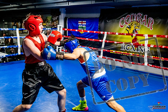 Cougar Boxing Basement Brawl -0539