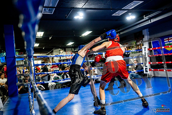 Cougar Boxing Basement Brawl -0114
