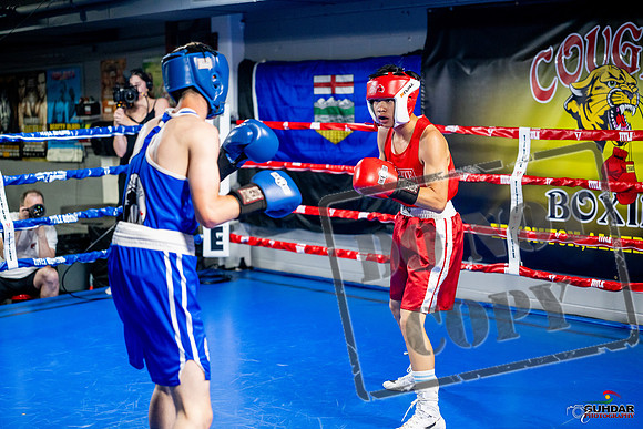 Cougar boxing June 7th 2025-0140