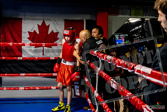 Cougar Boxing Basement Brawl -0216