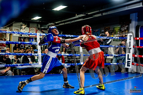Cougar Boxing Basement Brawl -0262