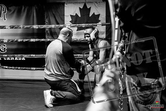 Cougar Boxing Basement Brawl -0409