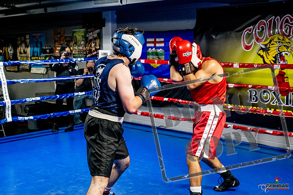 Cougar Boxing Basement Brawl -0403