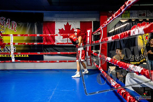 Cougar Boxing Basement Brawl -0068
