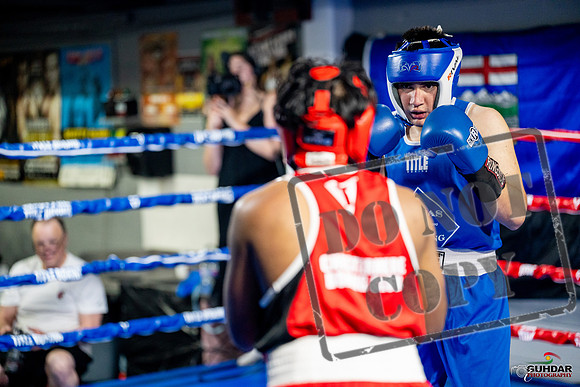 Cougar boxing June 7th 2025-0334