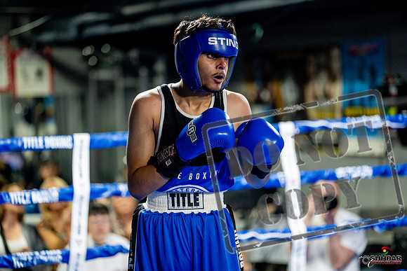 Cougar boxing June 7th 2025-0589