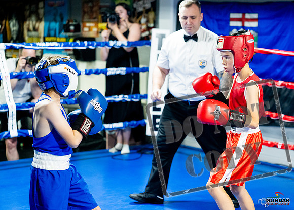 Cougar boxing June 7th 2025-0012