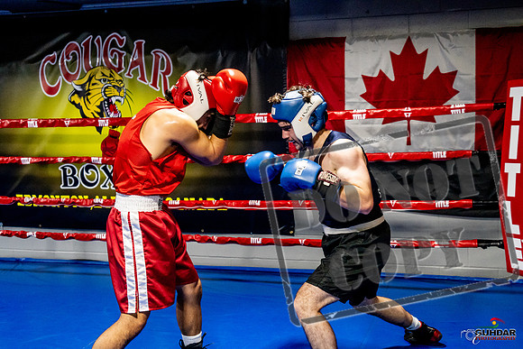 Cougar Boxing Basement Brawl -0396