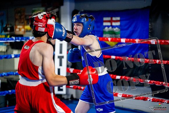 Cougar boxing June 7th 2025-0901