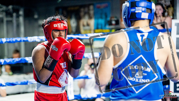 Cougar boxing June 7th 2025-0312