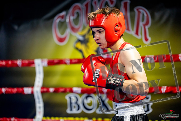 Cougar boxing June 7th 2025-0840