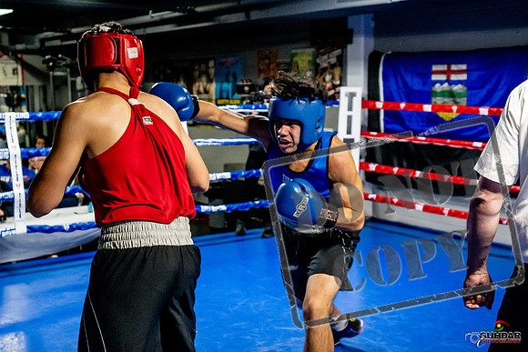 Cougar Boxing Basement Brawl -0671