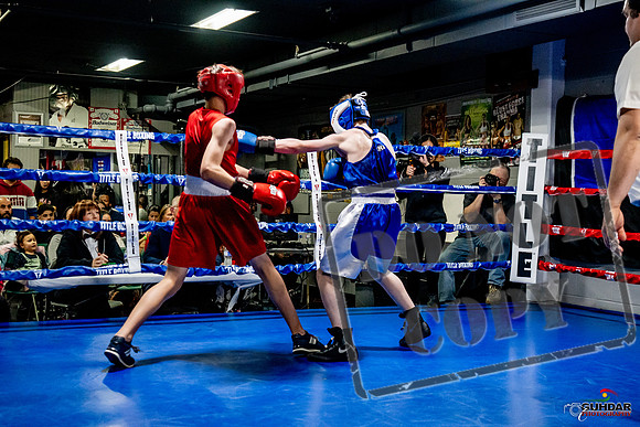 Cougar Boxing Basement Brawl -0204