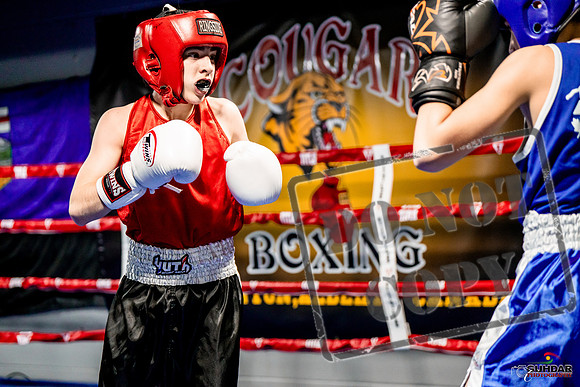 Cougar Boxing Basement Brawl -0018