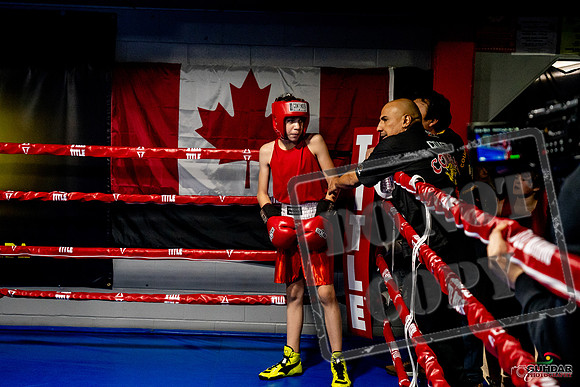 Cougar Boxing Basement Brawl -0215