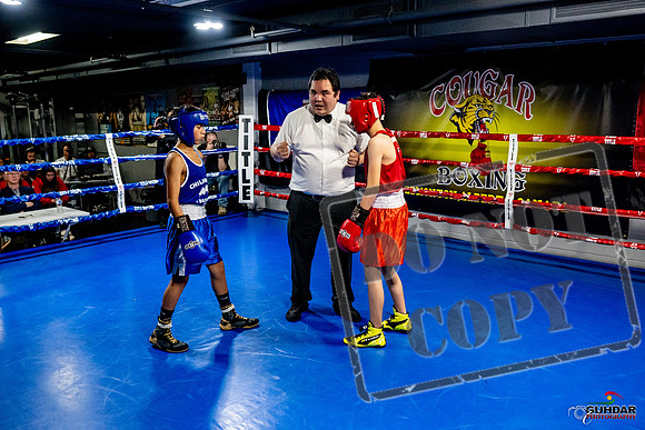 Cougar Boxing Basement Brawl -0217