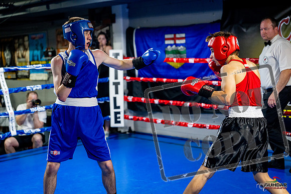 Cougar boxing June 7th 2025-0838