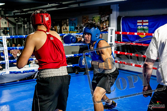 Cougar Boxing Basement Brawl -0670