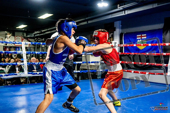 Cougar Boxing Basement Brawl -0251