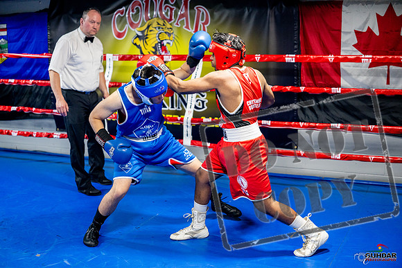 Cougar boxing June 7th 2025-0298