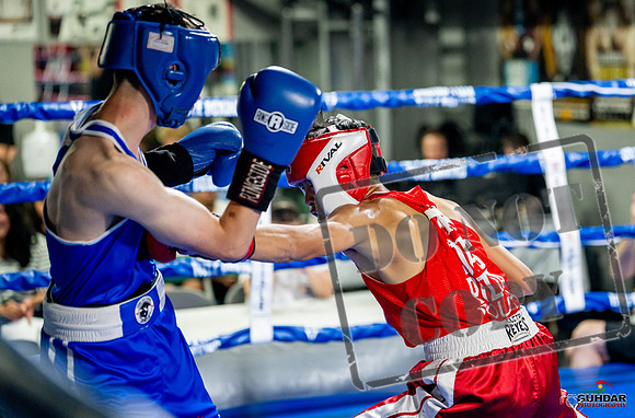 Cougar boxing June 7th 2025-0108