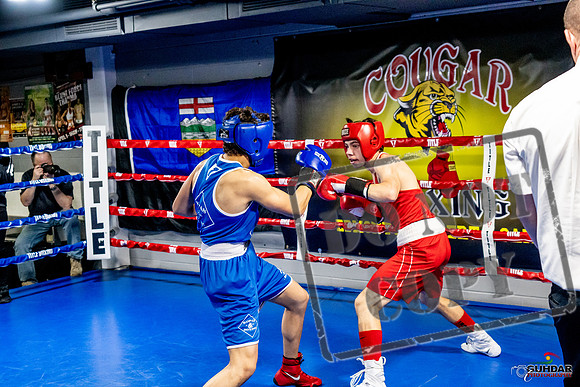 Cougar Boxing Basement Brawl -0446